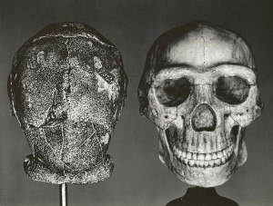 Peking Man Peking Man