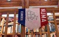 NUMA Flag